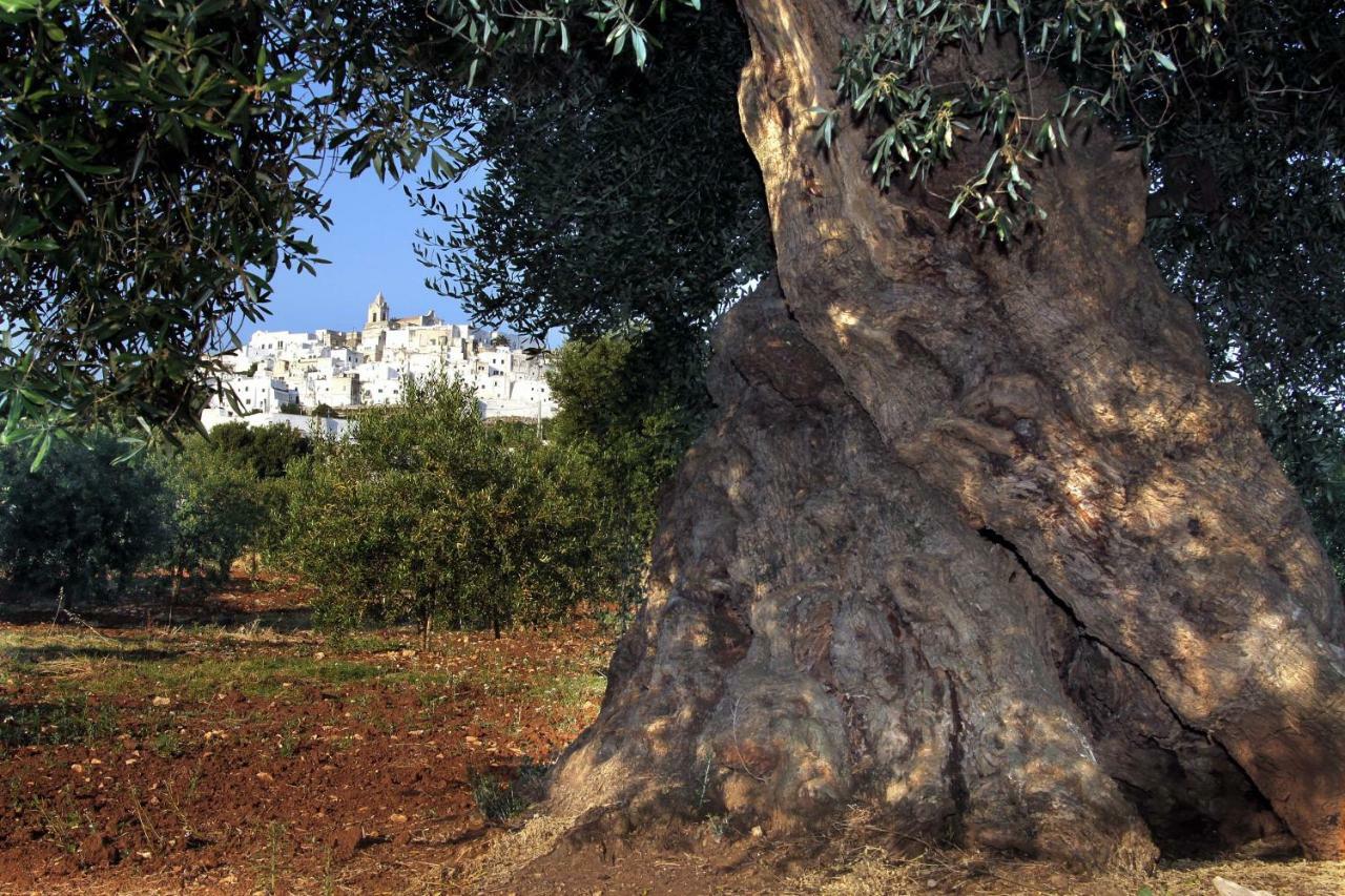 B&B La Stradella Ostuni Exterior foto